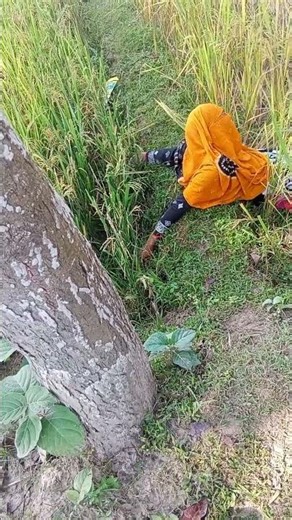 #funny #comedy # funne