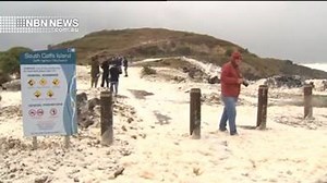 25K views · 532 reactions | The wind is sending foam flying everywhere in Coffs Harbour! | NBN Television | Facebook