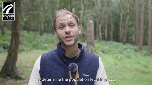 1.2K views · 34 reactions |  Our 'State of the Badger' short film...