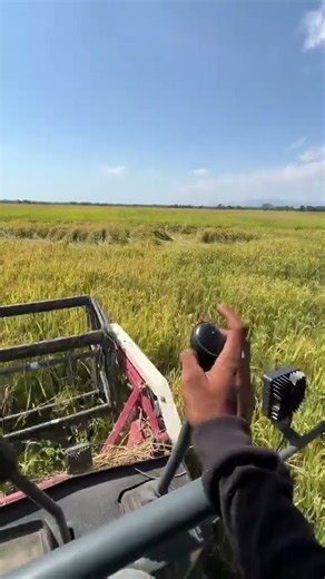 MAXXI || #combineharvester #maxxibimoterbaru #maxxibimo102standar #farming #combinepadi #automobile
