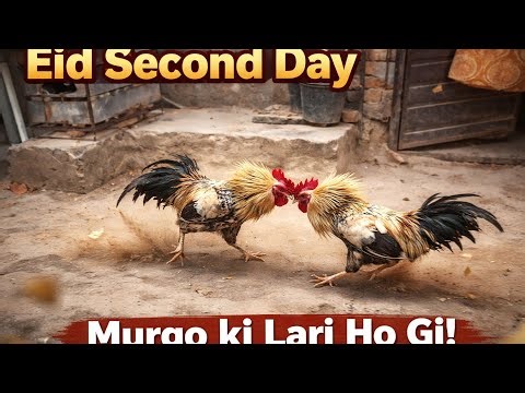 Eid Day 2 Vlog 😱 Murgo Ki Lari + Funny Moments 😂 Full Masti & Photoshoot | Village Life Pakistan