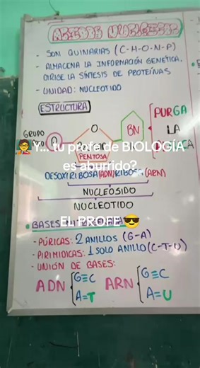 #biologia #anatomyclass #cachimbo #medicina #unap @Pre Cisneros Tu Academia @PREPARATORIA ZEUS PUNO @@PreparatoriaMarieCurie @Academia DREYFUS @ColegioyAcademiaBaldwin