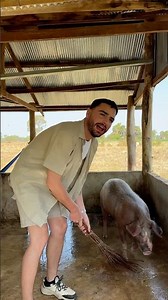 A day in the countryside! 🌾 Find all my videos on my YouTube channel! #Humor #Funny