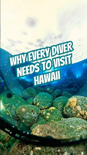 Manta Ray Night Dive in Kona Hawaii | You Won’t Believe Your Eyes 🌊 #MantaRay