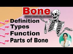 Types of Bones in Human Body | Long, Short, Flat, Irregular & Sesamoid Bone