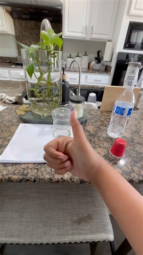 Spring breaks trick shot #springvibes #famous ￼￼