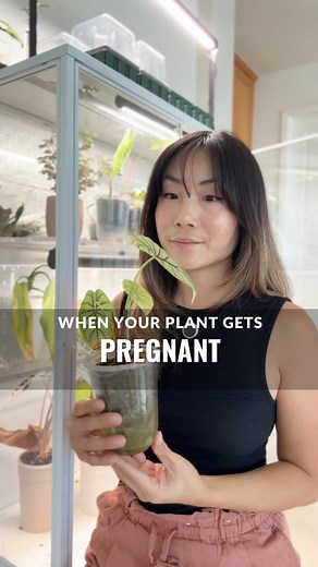 90K views · 1.3K reactions | If you comment “DETAILS”, I can share...