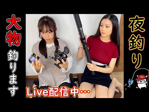 大物釣り‼️女２人で泳がせ釣りと遠投カゴ釣りで釣り納めライブ🎣