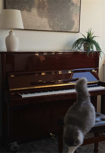 Learning Piano with BTS Songs: A Personal Journey