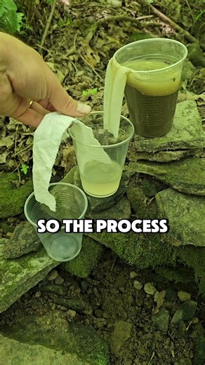 This Simple Forest Water Hack Will Blow Your Mind