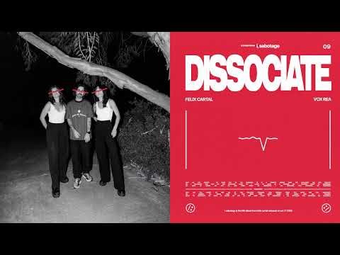 Felix Cartal - Dissociate (feat. Vox Rea) [visualizer]