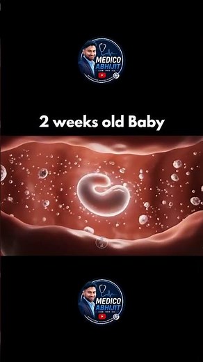 Weeks Old Baby Development 👶 | Newborn Growth, Feeding & Milestones Explained