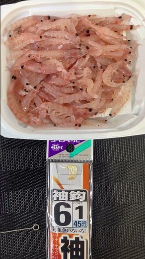 サビキの疑似針にオキアミを刺し餌に使えば、万能仕掛けにバージョンアップしますが、更に天秤を取り付け、一本鈎を垂らせば、最強仕掛けに達します。これで釣れなければ、諦めましょう。潮が悪すぎます。