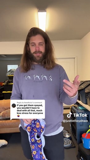 Managing Dogs in Heat: Tips for Pet Owners