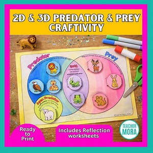 2D & 3D Predator and Prey Craft | Hands-On Food Chain Science Activity