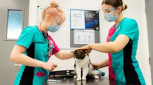 Nottingham PDSA