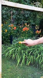 374K views · 700 reactions | New life for old things | Crafty Panda | Facebook