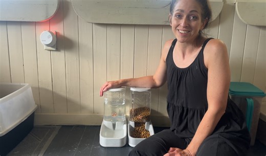 Watch Cat breeder approved! on Amazon Live