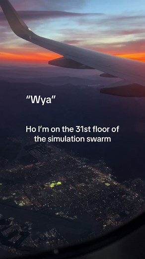 Exploring the Simulation Swarm Experience