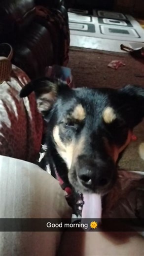 Bethany Sissy Thompson on Reels