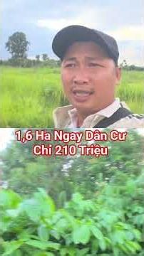 210 Triệu Sở Hữu Ngay 1,6 Ha Đất Đen Ngay Dân Cư Suối Lớn Nước Vi Vu #bđsgialai