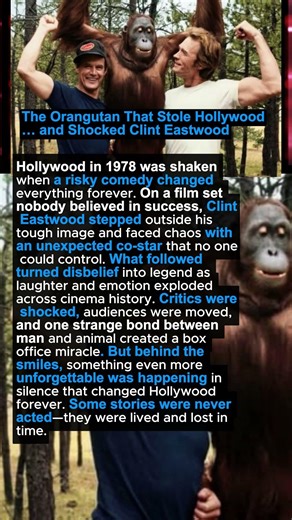 The Orangutan That Stole Hollywood… and Shocked Clint Eastwood 🎬 #shorts