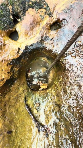 a gold mine filled with strange and sought after objects!