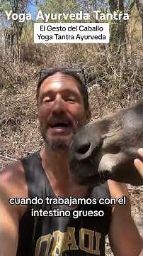 Ashwini Mudra, a l gesto del caballo es uno de los Mudras Pelvico’s del yoga #pranayama #meditacion