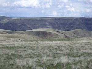 Zumwalt Prairie - Alchetron, The Free Social Encyclopedia