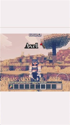 Meet my Minecraft horses. #ytshorts #horses #minecraft #edit #names