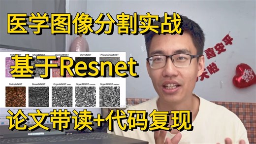 强推！2026医学生必看！基于Resnet算法的医学图像分类实战！论文解读 项目实战 源码复现，全篇干货分享！比刷剧还爽！AI/计算机视觉/AI医疗/论文创新点