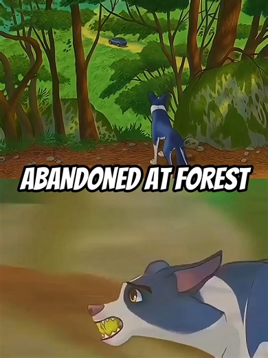 The loyalty of a dog and new friends