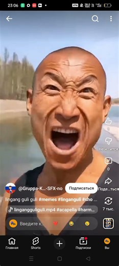 lingan guli guli #memes #acapella #harmony