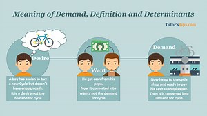 Demand Meaning, Definition and Determinants – Tutor's Tips