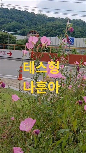 나훈아 - 테스형 | 삶을 노래한 감동의 명곡 | 가사와 함께 듣는 최고의 트로트
