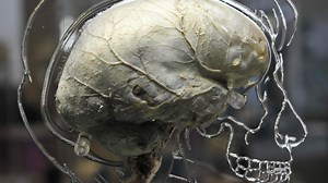 Academics launch search for ‘super memorisers’ for new study