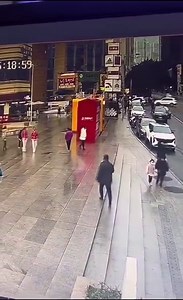 The incredible moment a long lost dog suddenly catches the smell of its owner in a crowded city square. It follows the smell and finds her in nearby resting booth to be reunited! 😭😍🐶 #Dogs #Animals | Animalistic