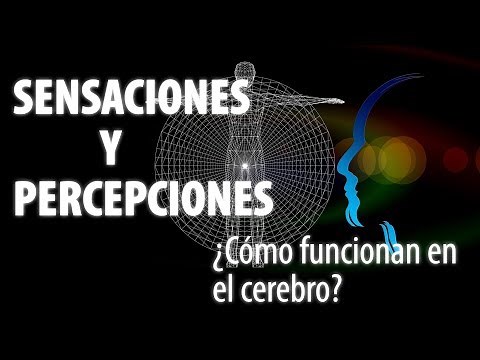 The raw material of thought - Sensation/Perception