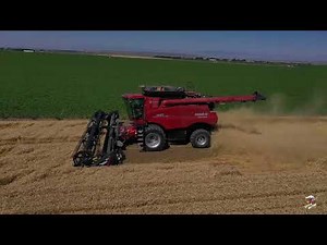 Harvesting Wheat near Hamer Idaho