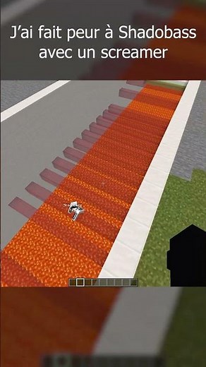J'ai fait peur sur Minecraft à ShadobassMC