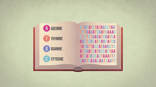 DNA Sequence Assembly