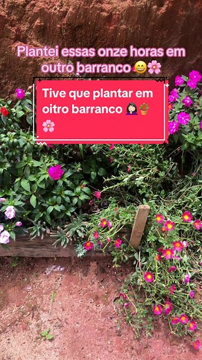 Dicas de Jardinagem: Plantando em Barrancos com Flores