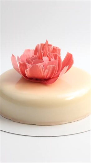 Rose, Raspberry & White Chocolate Entremet — No Added Sugar