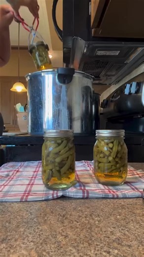 Water-bath works for pickles and tomatoes, but low-acid foods like green beans, carrots, and meats need real pressure. 212°F won’t kill harmful spores, 240–250°F under pressure will. Do you stick to tested methods or wing it like the rebels? | Denali Canning Co.