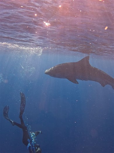 Ocean Ramsey on Reels
