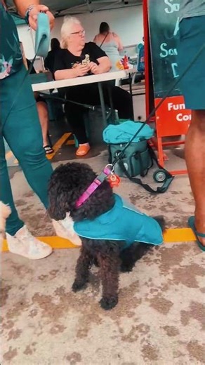 Doggy Scoop Squad NZ. New Zealand's no #1 poop scooping business. #auckland #newzealand #poopscoop