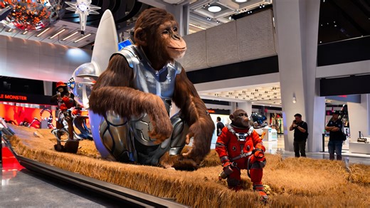 An eye catching monkey installation decorates a modern mall in China