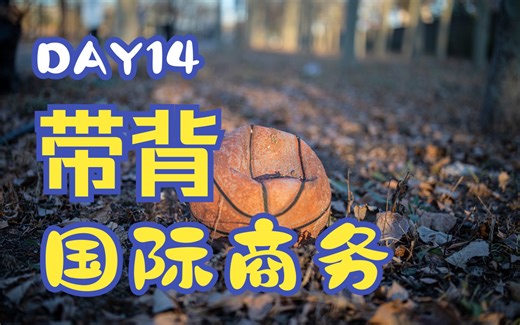 国际商务带背DAY14——内部化理论