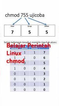 Apa itu chmod? Belajar Izin File Linux