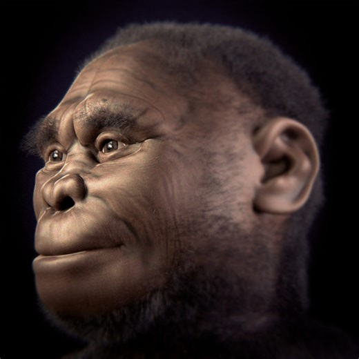It turns out we aren't as unique as we think we are: Here are 5 ancient human species that once lived alongside us | Discover Wildlife